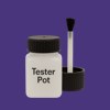 NCS S 4050-R60B Paint Tester Pot