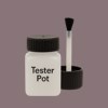 NCS S 5010-R10B Paint Tester Pot