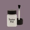 NCS S 5010-R30B Paint Tester Pot