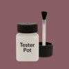 NCS S 5020-R10B Paint Tester Pot