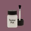 NCS S 5020-R20B Paint Tester Pot