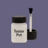 NCS S 5020-R60B Paint Tester Pot