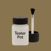 NCS S 5020-Y Paint Tester Pot