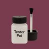 NCS S 5030-R20B Paint Tester Pot