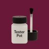 NCS S 5040-R20B Paint Tester Pot