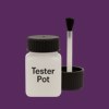 NCS S 5040-R50B Paint Tester Pot