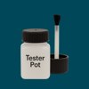 NCS S 5540-B20G Paint Tester Pot
