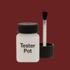 NCS S 5540-Y90R Paint Tester Pot