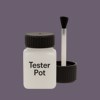 NCS S 6010-R50B Paint Tester Pot