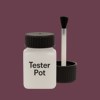 NCS S 6020-R20B Paint Tester Pot