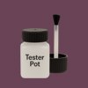 NCS S 6020-R30B Paint Tester Pot