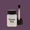 NCS S 6020-R40B Paint Tester Pot
