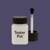 NCS S 6020-R60B Paint Tester Pot