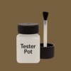 NCS S 6020-Y10R Paint Tester Pot