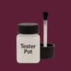 NCS S 6030-R20B Paint Tester Pot