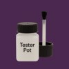 NCS S 6030-R50B Paint Tester Pot