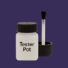 NCS S 6030-R60B Paint Tester Pot