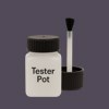 NCS S 7010-R50B Paint Tester Pot