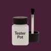 NCS S 7020-R30B Paint Tester Pot