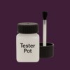 NCS S 7020-R40B Paint Tester Pot