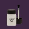 NCS S 7020-R50B Paint Tester Pot