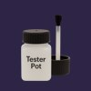 NCS S 7020-R60B Paint Tester Pot