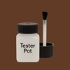 NCS S 7020-Y50R Paint Tester Pot