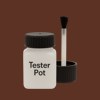 NCS S 7020-Y70R Paint Tester Pot