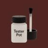 NCS S 7020-Y90R Paint Tester Pot