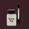 NCS S 8010-R10B Paint Tester Pot