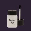 NCS S 8010-R50B Paint Tester Pot
