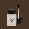 NCS S 8010-Y30R Paint Tester Pot
