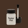 NCS S 8010-Y50R Paint Tester Pot