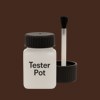 NCS S 8010-Y70R Paint Tester Pot