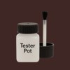 NCS S 8010-Y90R Paint Tester Pot