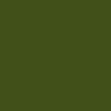 British Standard 381C Olive Green 220 Paint Colour Swatch