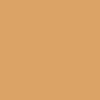 Master Chroma CN8450 - Brown 8450 Paint Colour Swatch