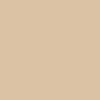 RAL 075 80 20 Paint Colour Swatch