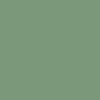 RAL 140 60 20 Paint Colour Swatch