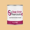 British Standard 3-041 Paint Litre Tin