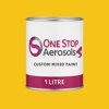 British Standard 4800 - 10 E 55 Paint Litre Tin