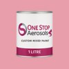 British Standard 5252 02 D 41 Paint Litre Tin