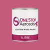 British Standard 5252 02 E 53 Paint Liter Tin