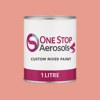 British Standard 5252 04 D 41 Paint Litre Tin