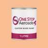 British Standard 5252 06 D 41 Paint Litre Tin