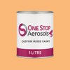 British Standard 5252 06 E 50 Paint Litre Tin