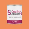British Standard 5252 06 E 51 Paint Litre Tin