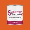 British Standard 5252 06 E 55 Paint Litre Tin