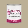 British Standard 5252 10 B 19 Paint Litre Tin