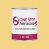 British Standard 5252 10 D 41 Paint Litre Tin